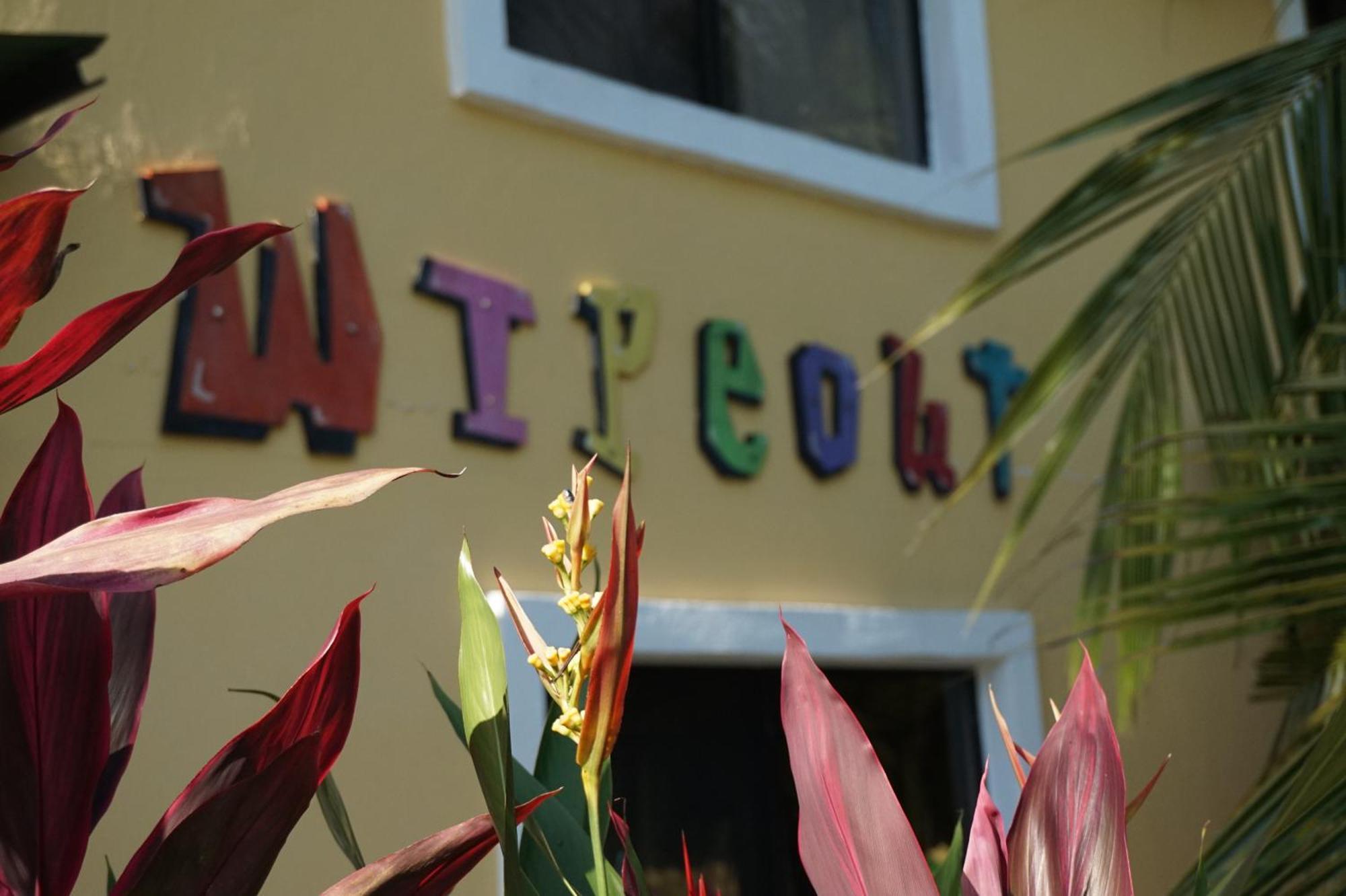 Wipeout Hostel Jaco Ngoại thất bức ảnh